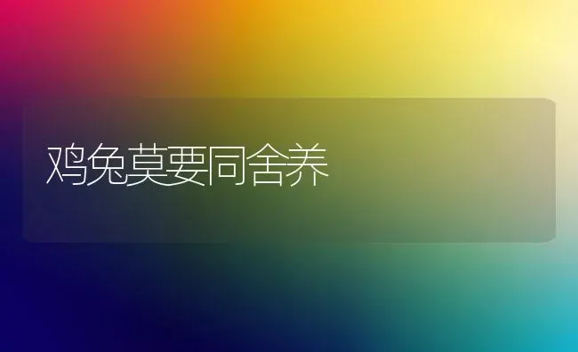 鸡兔莫要同舍养 | 家禽养殖