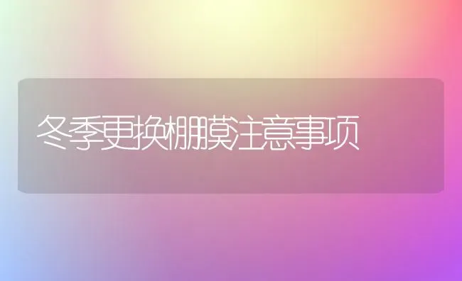 鸡群球虫免疫前后注意啥 | 家禽养殖