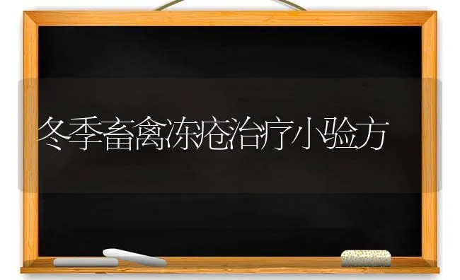 冬季畜禽冻疮治疗小验方 | 家禽养殖