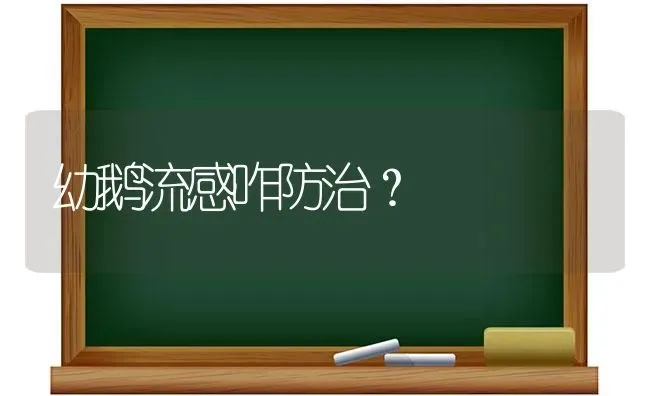 幼鹅流感咋防治？ | 家禽养殖