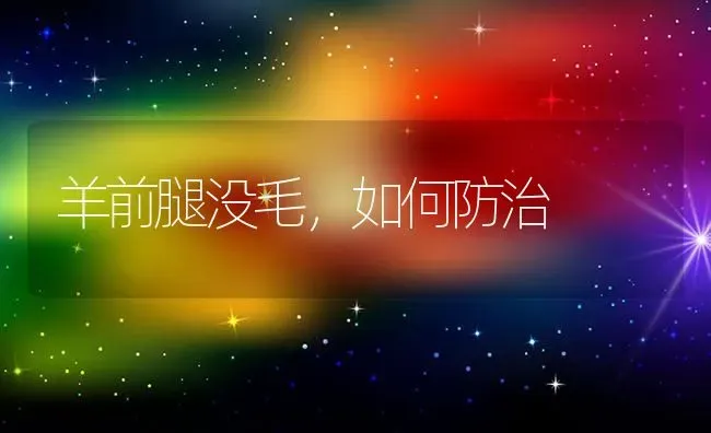 羊前腿没毛，如何防治 | 家畜养殖