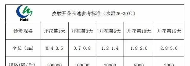 好行情催生鲮鱼养殖热！这样养的养殖户能赚钱