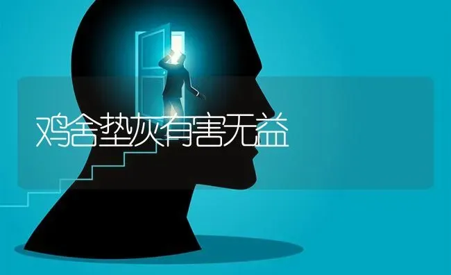 鸡舍垫灰有害无益 | 家禽养殖