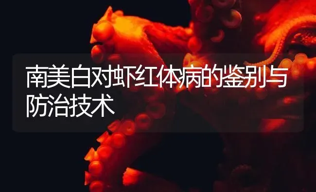 南美白对虾红体病的鉴别与防治技术 | 海水养殖