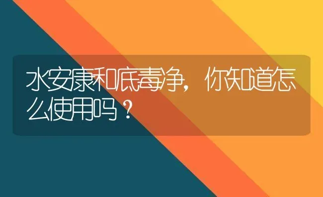 水安康和底毒净，你知道怎么使用吗？ | 养殖病虫害防治