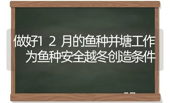 做好12月的鱼种并塘工作 为鱼种安全越冬创造条件 | 淡水养殖