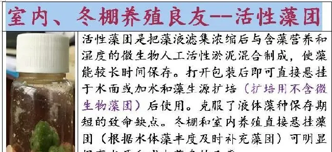 为什么最近养殖水体亚硝酸盐特别容易升高？