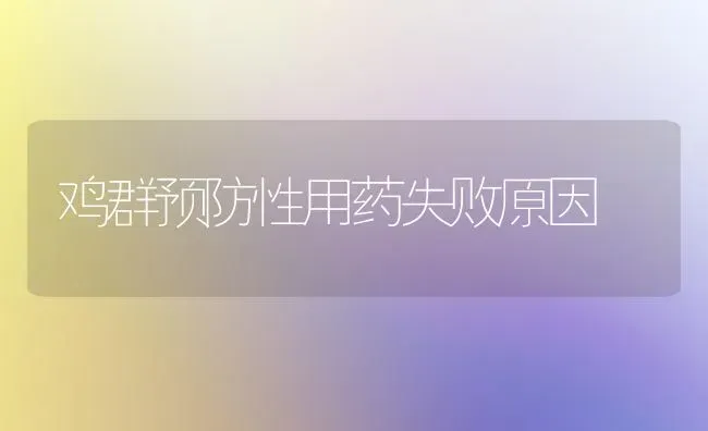 鸡群预防性用药失败原因 | 养殖病虫害防治