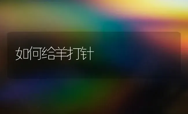 如何给羊打针 | 家畜养殖