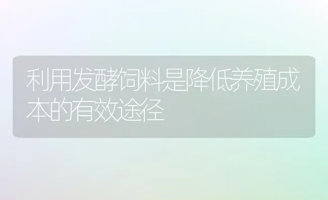 利用发酵饲料是降低养殖成本的有效途径 | 动物养殖饲料