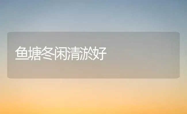鱼塘冬闲清淤好 | 淡水养殖