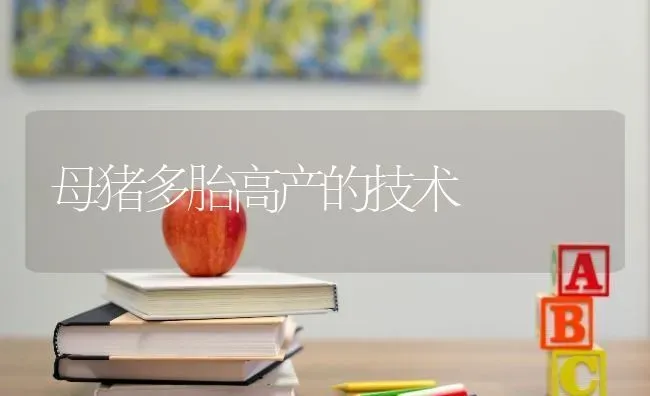 母猪多胎高产的技术 | 家畜养殖