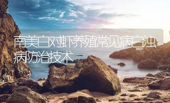 南美白对虾养殖常见病白浊病防治技术 | 海水养殖