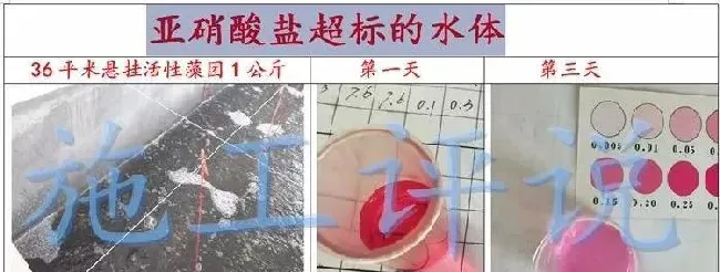 为什么最近养殖水体亚硝酸盐特别容易升高？