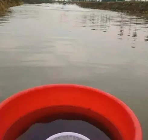 水产养殖户清塘肥水过程中应注重的一些细节事项