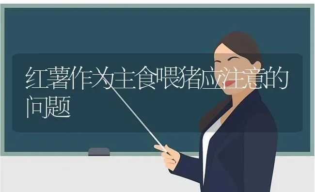 毒蛇暂养简单高效 | 特种养殖