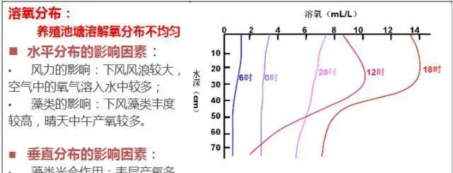 池塘水体中溶解氧，你真的弄懂了吗？