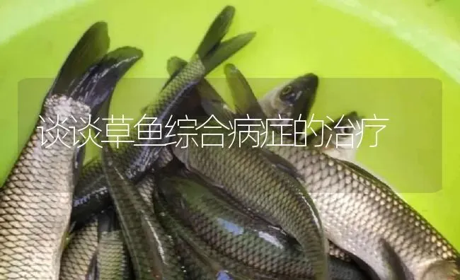 谈谈草鱼综合病症的治疗 | 淡水养殖