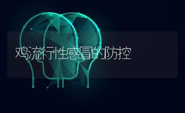 鸡流行性感冒的防控 | 家禽养殖