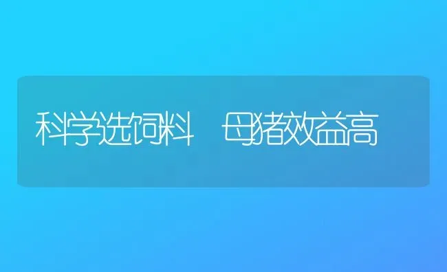 科学选饲料 母猪效益高 | 家畜养殖