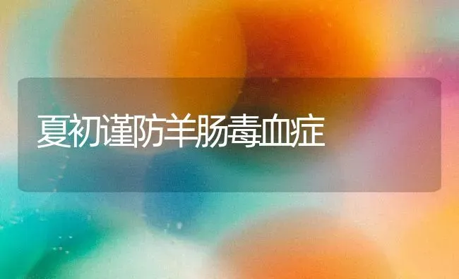 夏初谨防羊肠毒血症 | 家畜养殖