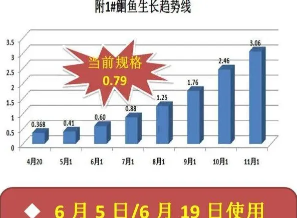 阴雨天有些水产养殖户为什么能保持较高投喂量
