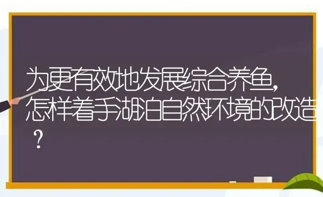 为更有效地发展综合养鱼，怎样着手湖泊自然环境的改造？ | 动物养殖百科