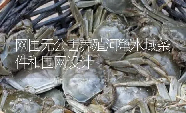 网围无公害养殖河蟹水域条件和围网设计 | 淡水养殖