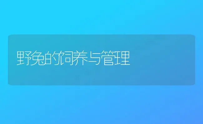 野兔的饲养与管理 | 家畜养殖