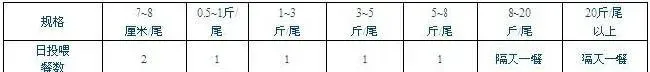软颗粒料在石斑鱼池塘养殖中的应用技术
