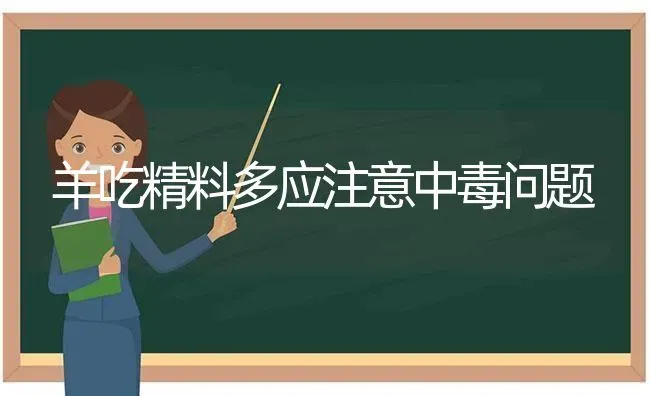 羊吃精料多应注意中毒问题 | 家畜养殖