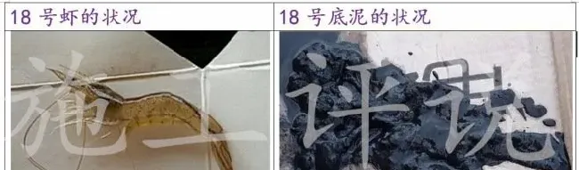 老嚷着要解毒解毒，你真懂“解毒”吗？