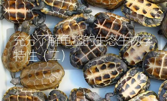 充分了解龟鳖的生态生物学特性（二） | 淡水养殖