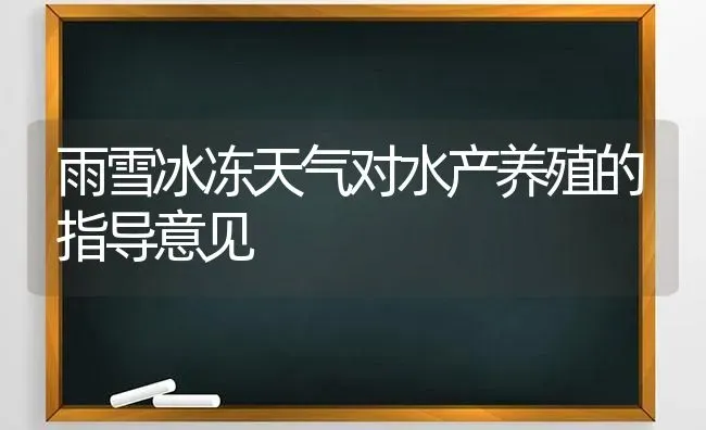 雨雪冰冻天气对水产养殖的指导意见 | 动物养殖百科