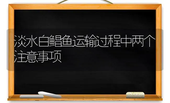 淡水白鲳鱼运输过程中两个注意事项 | 淡水养殖