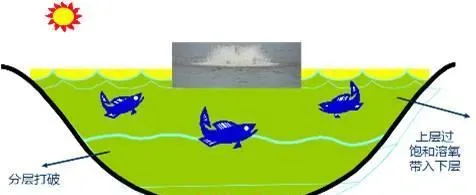 池塘水体中溶解氧，你真的弄懂了吗？