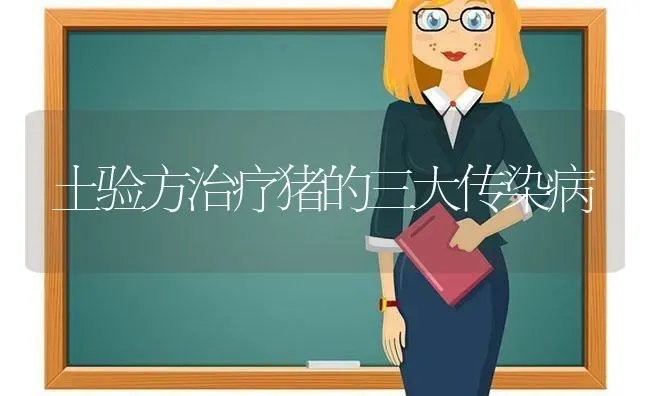 土验方治疗猪的三大传染病 | 家畜养殖