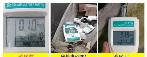 草鱼6块白鲢3块行情下的养殖策略
