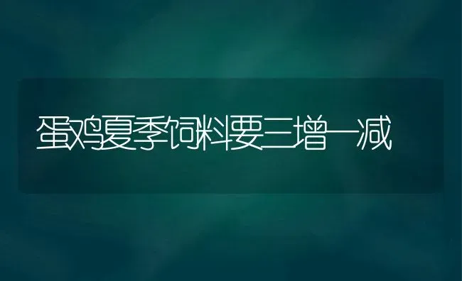 蛋鸡夏季饲料要三增一减 | 家禽养殖