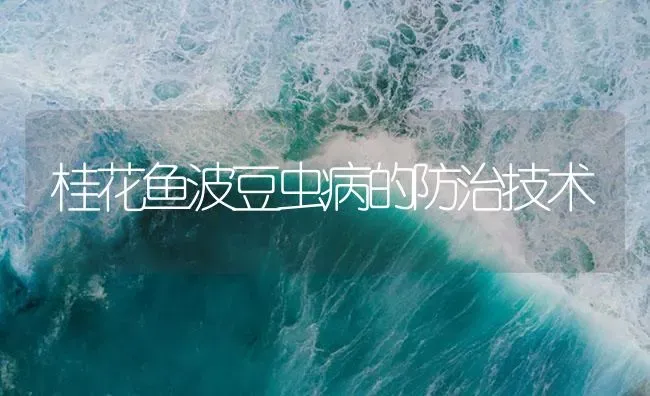 桂花鱼波豆虫病的防治技术 | 养殖病虫害防治