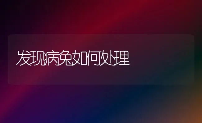 发现病兔如何处理 | 家畜养殖