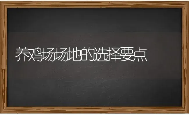 养鸡场场地的选择要点 | 家禽养殖