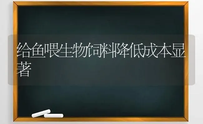 给鱼喂生物饲料降低成本显著 | 动物养殖百科