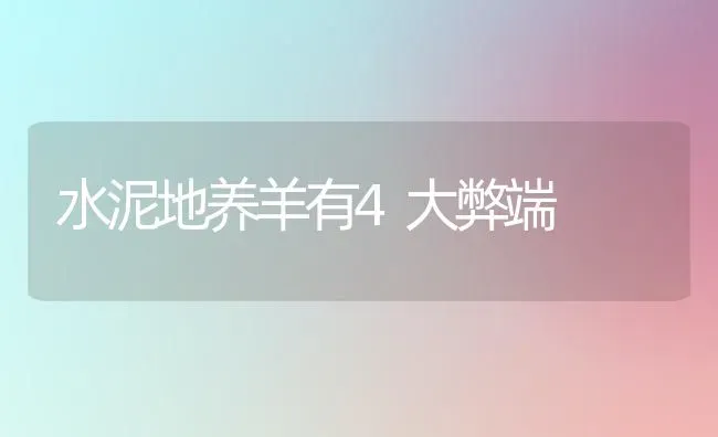 水泥地养羊有4大弊端 | 家畜养殖