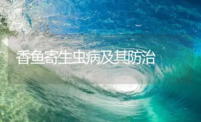香鱼寄生虫病及其防治 | 养殖病虫害防治