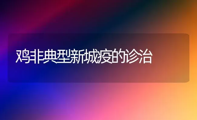 鸡非典型新城疫的诊治 | 家禽养殖