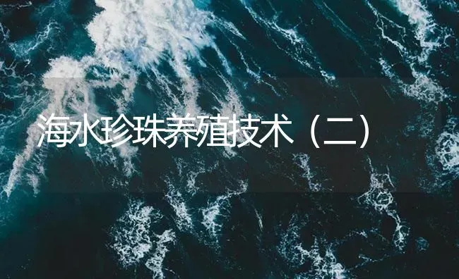 海水珍珠养殖技术（二） | 海水养殖