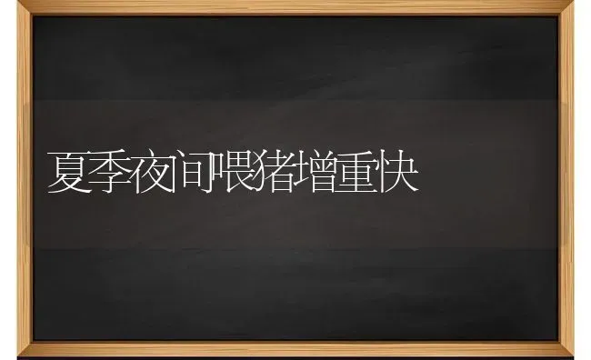 夏季夜间喂猪增重快 | 家畜养殖