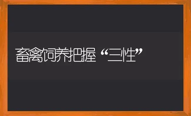 畜禽饲养把握“三性” | 家禽养殖