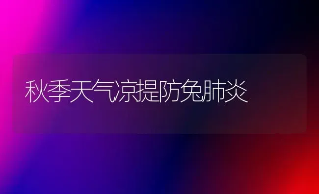 秋季天气凉提防兔肺炎 | 家畜养殖